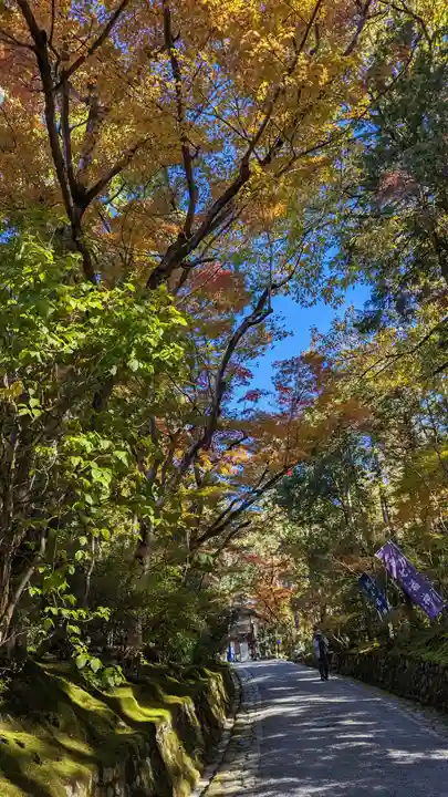 赤山禅院(京都府)