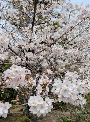 法金剛院(京都府)