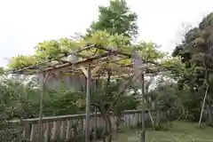 八雲神社(緑町)の自然