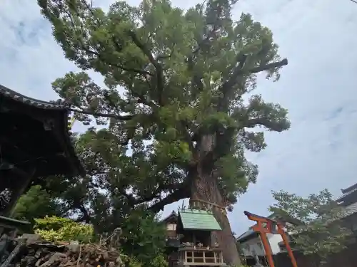 法楽寺(大阪府)