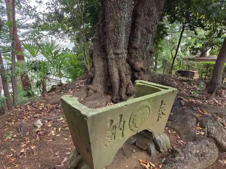 子之神社(神奈川県)