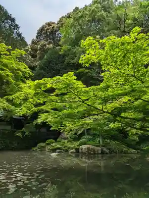 南禅院(京都府)