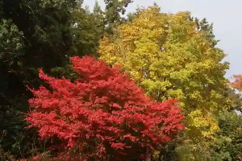 豊景神社の自然