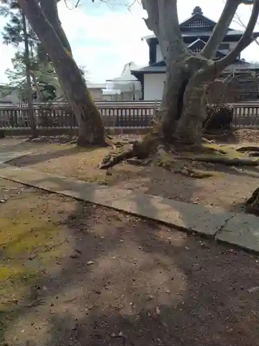 皇大神社(山形県)