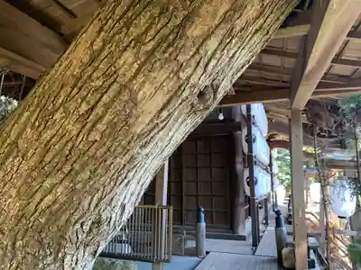 大甕神社のその他建物