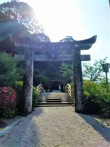 伊萬里神社の鳥居