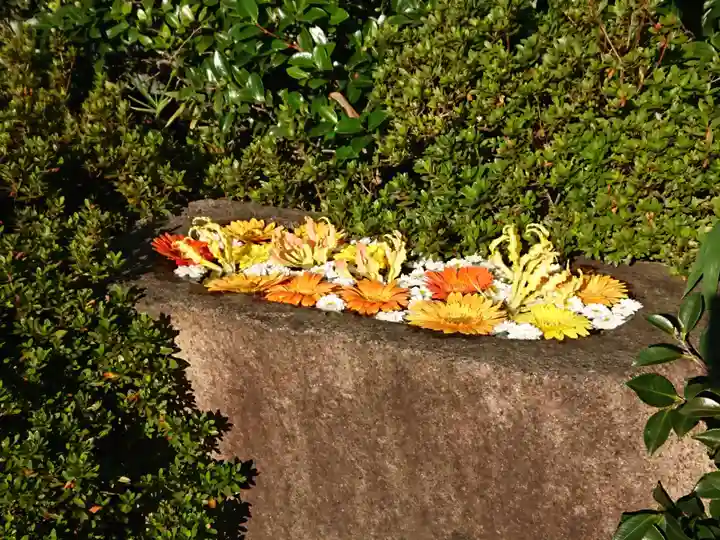 林泉寺の手水舎