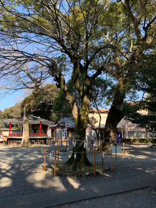 米之宮浅間神社の自然
