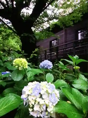 乃木神社(東京都)