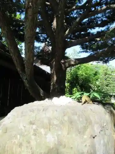 天性寺のその他建物