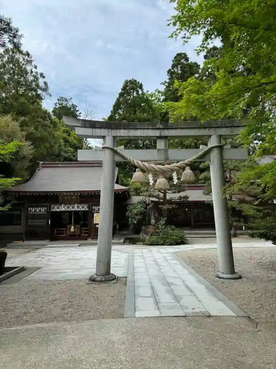 越中一宮 髙瀬神社(富山県)