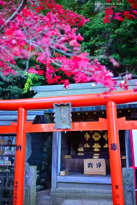 大山阿夫利神社(神奈川県)