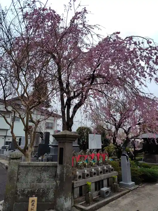 月心院(福島県)