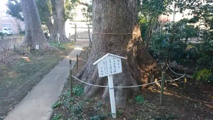神明宮(御園)の自然