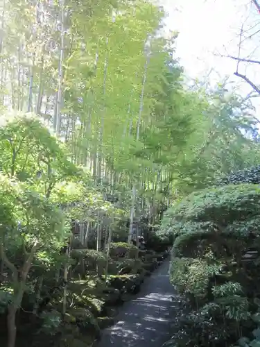 報国寺の庭園