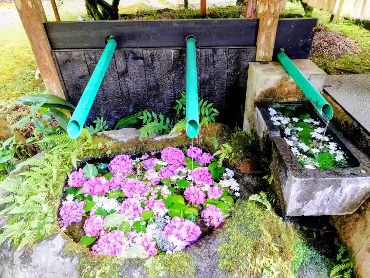 粟鹿神社(兵庫県)