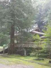 武蔵二宮 金鑚神社(埼玉県)