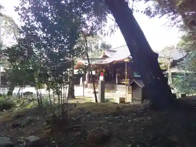 渋谷氷川神社の本殿・本堂