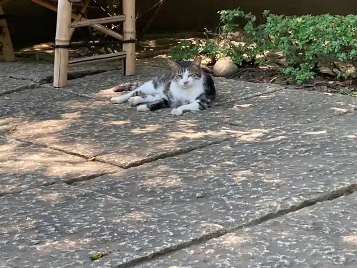 天王寺(東京都)