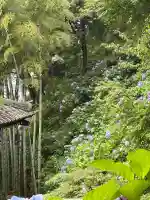 長谷寺(神奈川県)