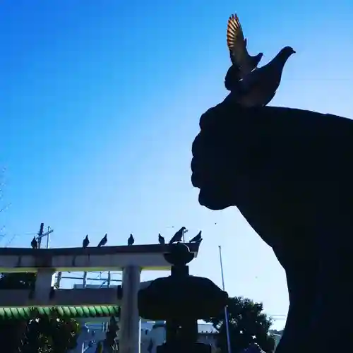 天祖神社の動物