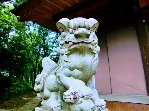 吉田杉山神社の狛犬