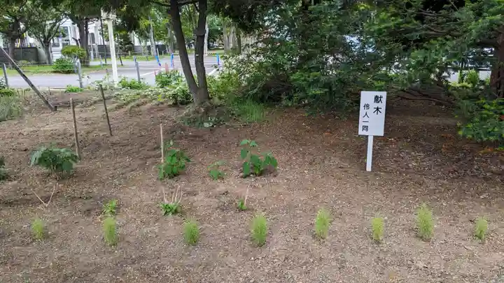 新琴似神社の庭園