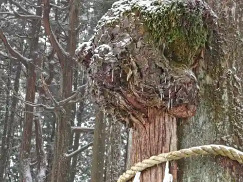 日蓮宗 総本山 塔頭 定林坊(じょうりんぼう)(山梨県)