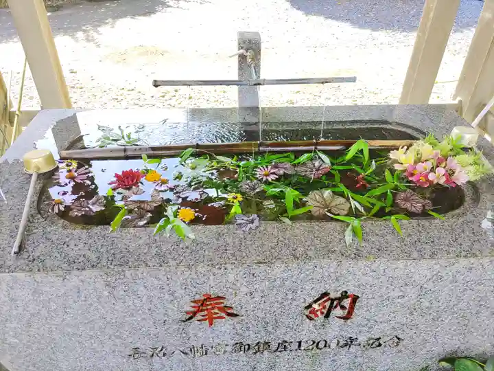 長沼八幡宮(栃木県)