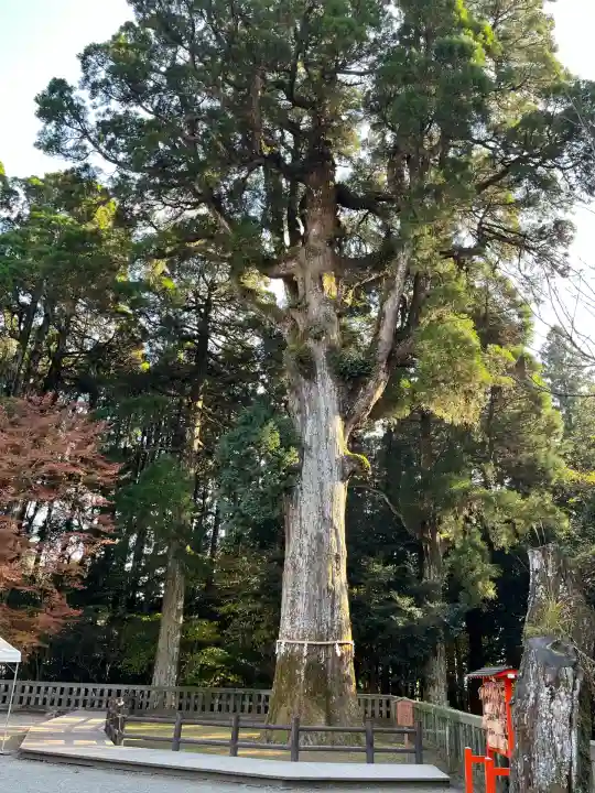 霧島神宮(鹿児島県)