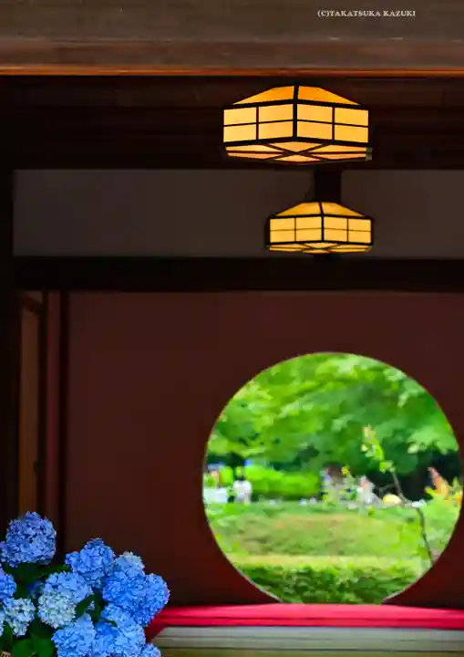 明月院(神奈川県)