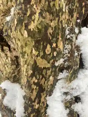 西林寺(兵庫県)