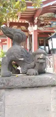 千住本氷川神社の狛犬
