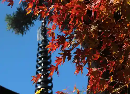 国宝 大法寺の景色