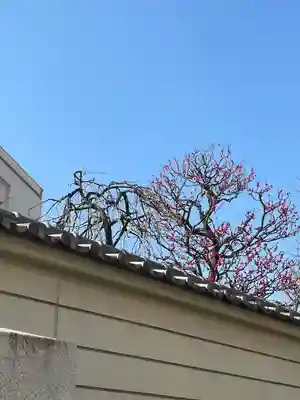 永福寺(東京都)