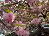 白龍神社(愛知県)