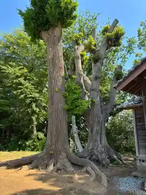 熊野神社(千葉県)
