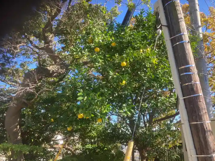 大船観音寺(神奈川県)