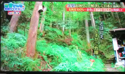 観音院(埼玉県)
