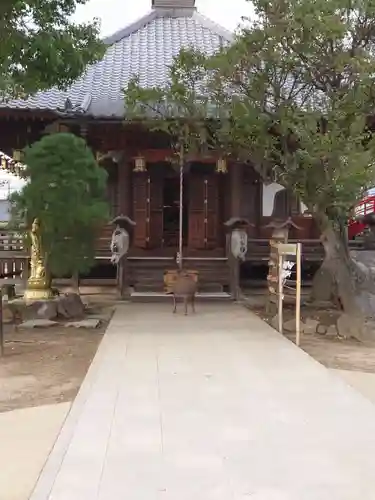 龍泉寺（足利厄除大師）の本殿