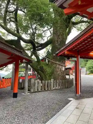 熊野那智大社(和歌山県)