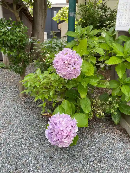 片瀬諏訪神社(神奈川県)