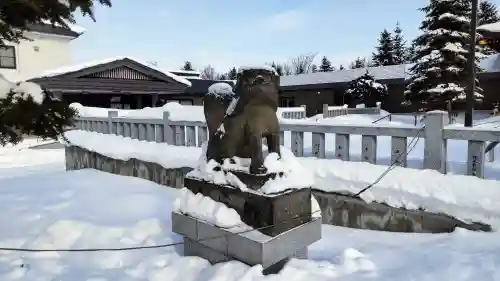 美瑛神社の狛犬