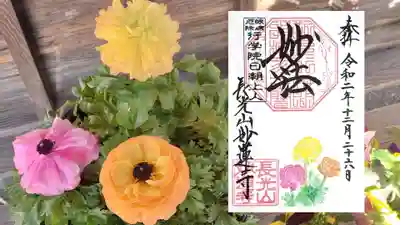 「ラナンキュラス」。
キンポウゲ科の植物です。