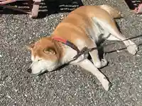 母智丘神社(東京都)