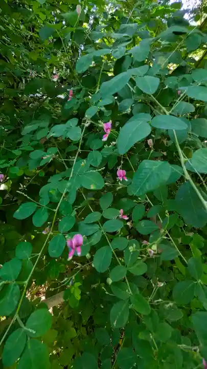 梨木神社(京都府)