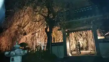 周林寺の山門・神門