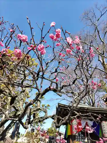 宗禅寺の庭園