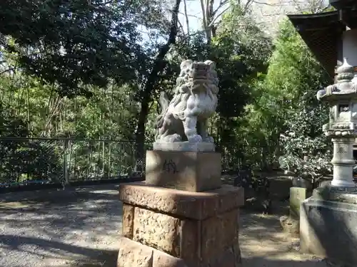 浅間神社の狛犬