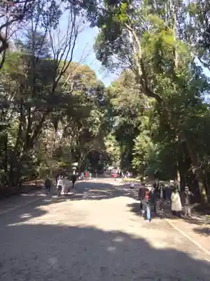 明治神宮(東京都)